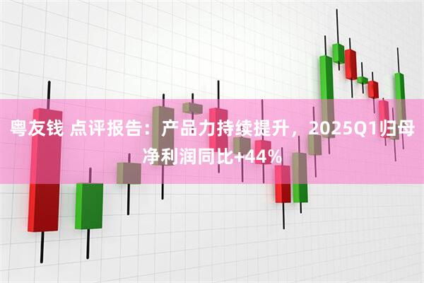 粤友钱 点评报告：产品力持续提升，2025Q1归母净利润同比+44%