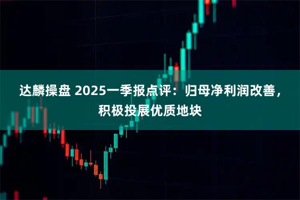 达麟操盘 2025一季报点评：归母净利润改善，积极投展优质地块