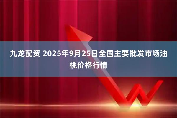 九龙配资 2025年9月25日全国主要批发市场油桃价格行情