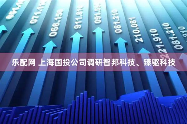 乐配网 上海国投公司调研智邦科技、臻驱科技