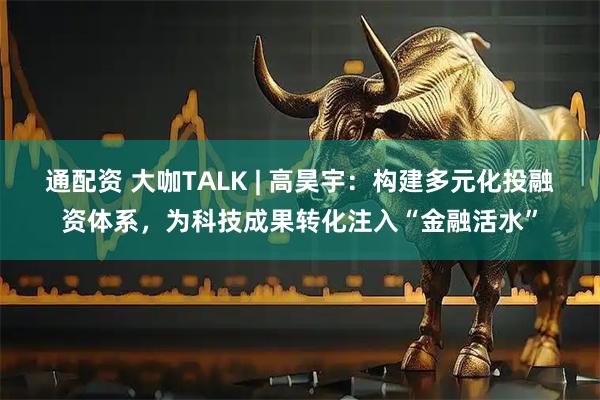 通配资 大咖TALK | 高昊宇：构建多元化投融资体系，为科技成果转化注入“金融活水”