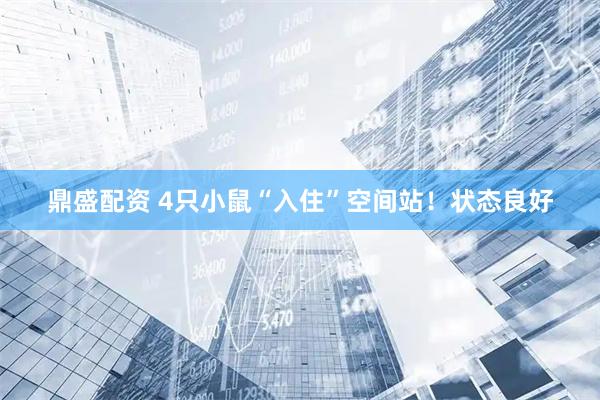 鼎盛配资 4只小鼠“入住”空间站！状态良好