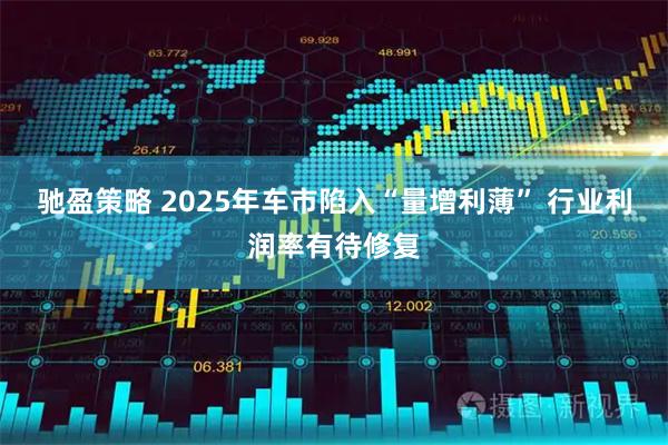 驰盈策略 2025年车市陷入“量增利薄” 行业利润率有待修复
