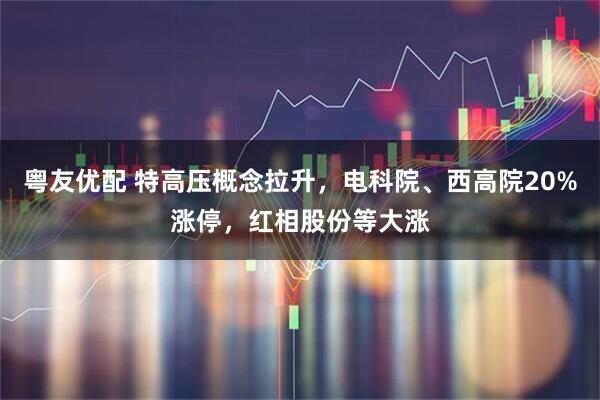 粤友优配 特高压概念拉升，电科院、西高院20%涨停，红相股份等大涨