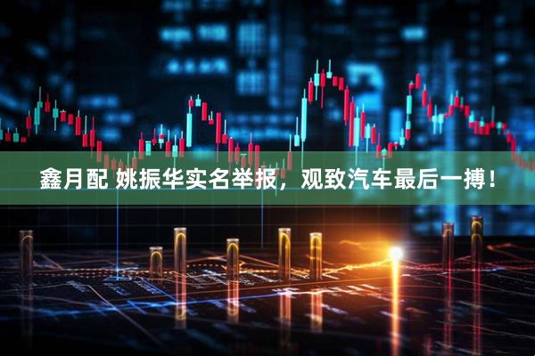 鑫月配 姚振华实名举报，观致汽车最后一搏！