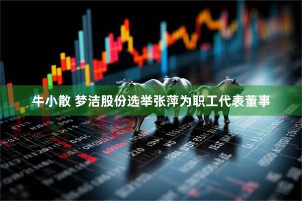 牛小散 梦洁股份选举张萍为职工代表董事