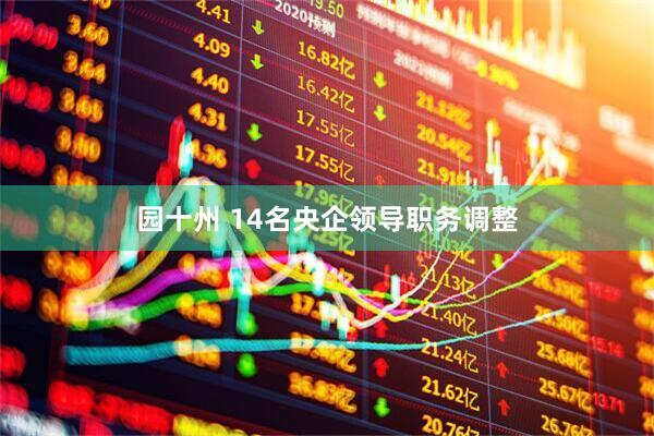 园十州 14名央企领导职务调整