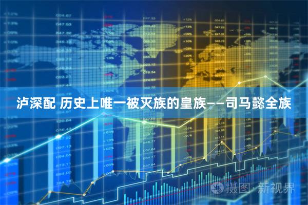泸深配 历史上唯一被灭族的皇族——司马懿全族