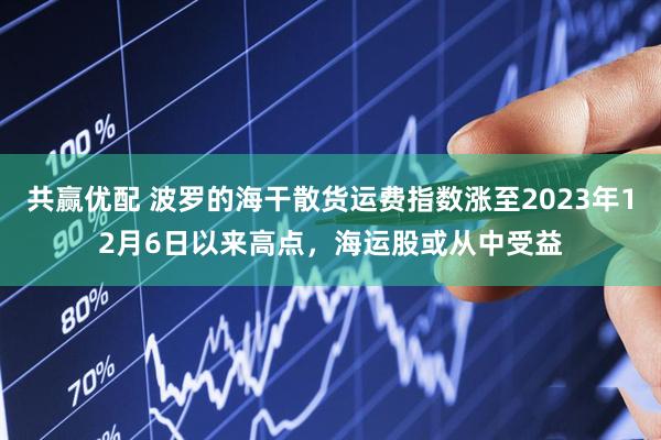 共赢优配 波罗的海干散货运费指数涨至2023年12月6日以来高点，海运股或从中受益