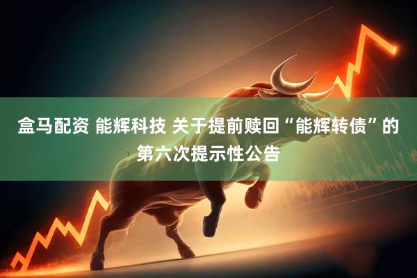 盒马配资 能辉科技 关于提前赎回“能辉转债”的第六次提示性公告