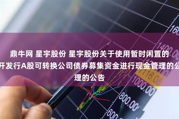 鼎牛网 星宇股份 星宇股份关于使用暂时闲置的公开发行A股可转换公司债券募集资金进行现金管理的公告