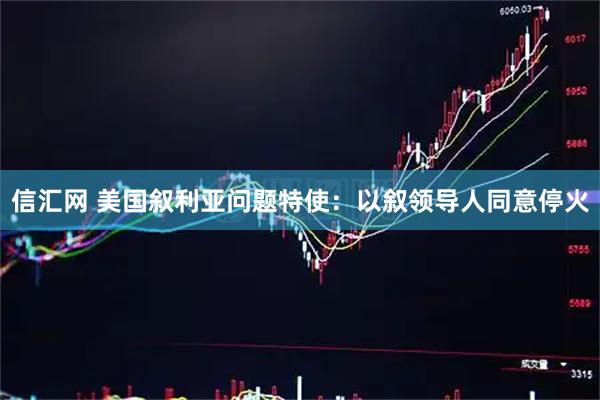 信汇网 美国叙利亚问题特使：以叙领导人同意停火